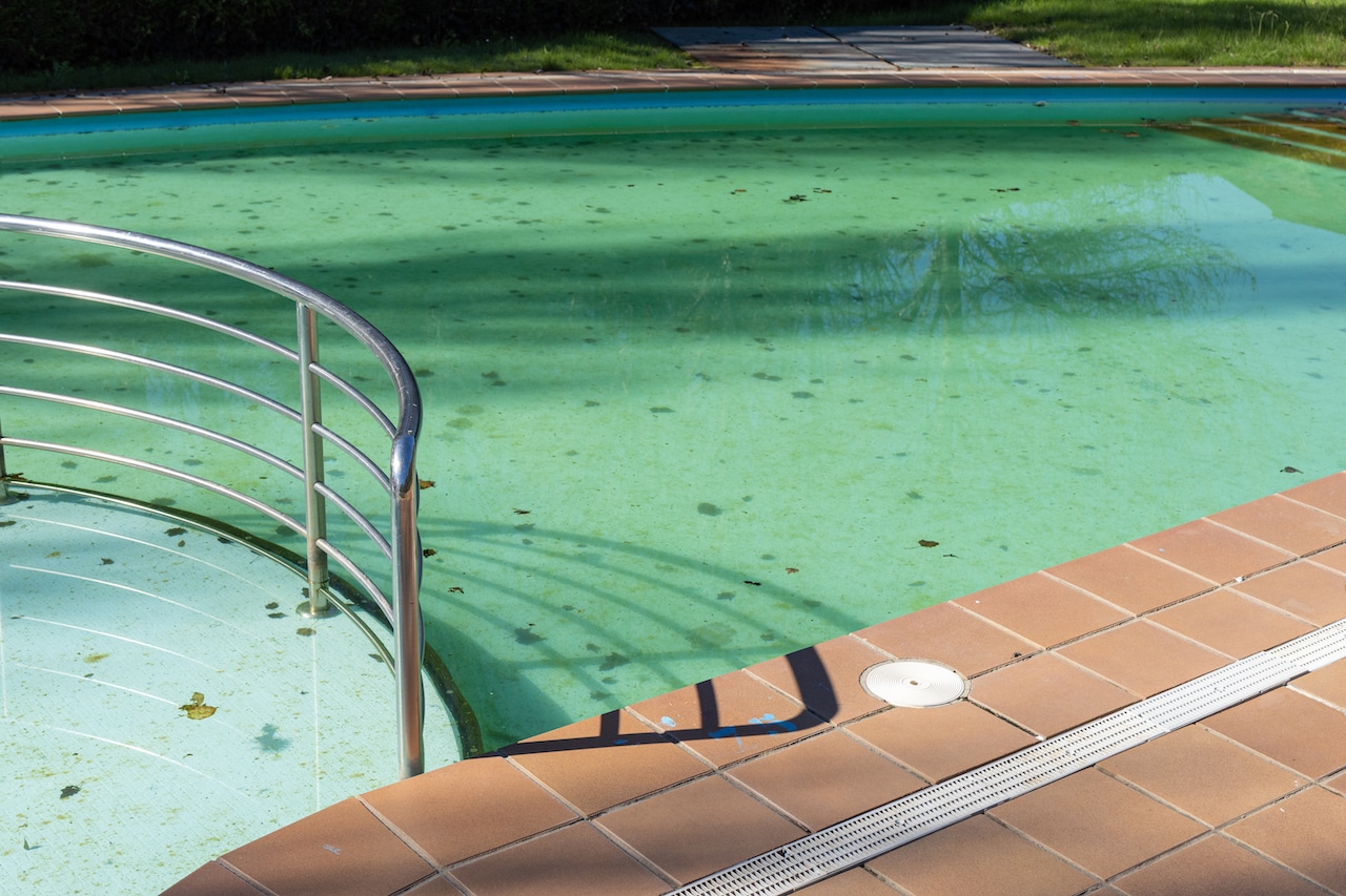 How to Prepare for Algae This Winter